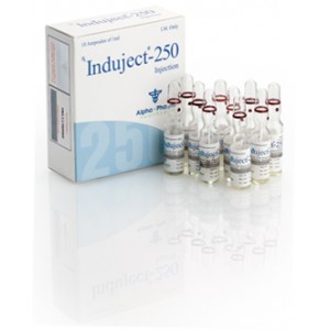 INDUJECT 250 (SUSTANON) 10 vials box