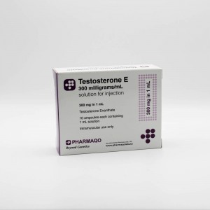 Testosterone E300 1ml